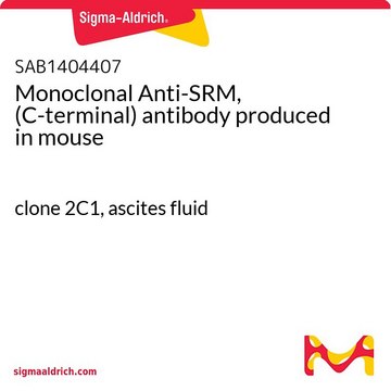 Monoclonal Anti-SRM, (C-terminal) antibody produced in mouse clone 2C1, ascites fluid