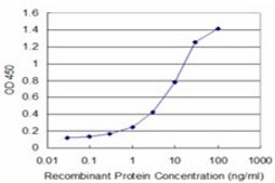 Monoclonal Anti-XBP1 antibody produced in mouse clone 2D9, purified immunoglobulin, buffered aqueous solution