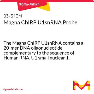 Magna ChIRP U1snRNA Probe The Magna ChIRP U1snRNA contains a 20-mer DNA oligonucleotide complementary to the sequence of Human RNA, U1 small nuclear 1.