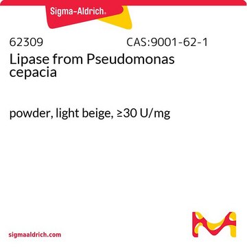 Lipase from Pseudomonas cepacia powder, light beige, &#8805;30&#160;U/mg