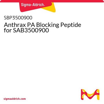 Anthrax PA Blocking Peptide for SAB3500900
