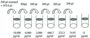 Human Angiopoietin-1 ELISA Kit for serum, plasma, cell culture supernatant and urine