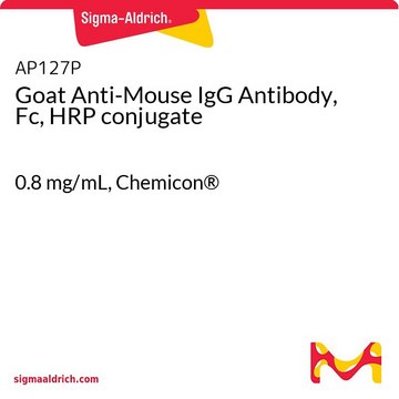 Goat Anti-Mouse IgG Antibody, Fc, HRP conjugate 0.8&#160;mg/mL, Chemicon&#174;