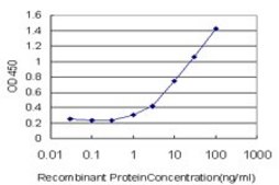Monoclonal Anti-EPHB6 antibody produced in mouse clone 3B6, purified immunoglobulin, buffered aqueous solution
