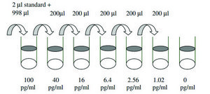 Mouse Eotaxin ELISA Kit for serum, plasma and cell culture supernatant