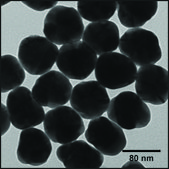 Silver nanospheres 80&#160;nm avg. part. size, 1&#160;mg/mL in water, PVP functionalized