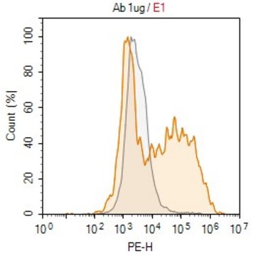 Anti-Cas9 Antibody, clone 7A9 ZooMAb&#174; Mouse Monoclonal recombinant, expressed in HEK 293 cells