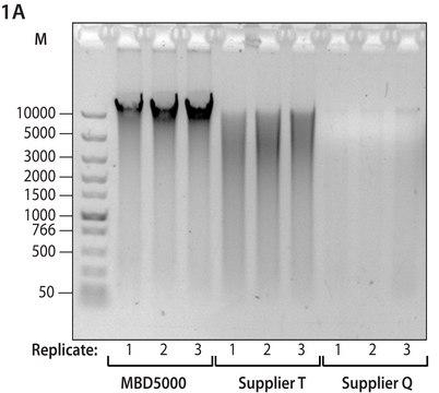 GenElute&#8482; Microbiome DNA Purification Kit High yield for PCR, sequencing and NGS