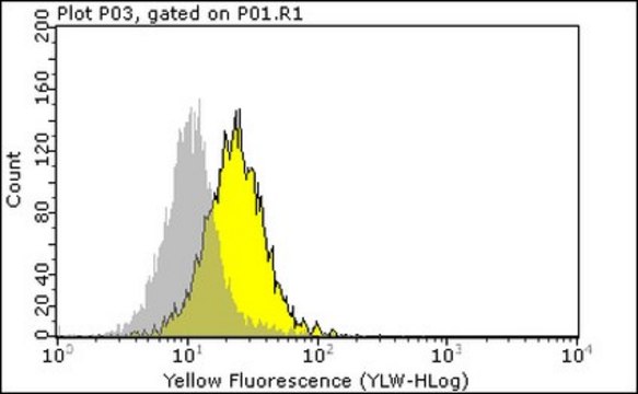 Anti-phospho-EGFR (Thr654) Antibody, clone 3F2 clone 3F2, Upstate&#174;, from mouse