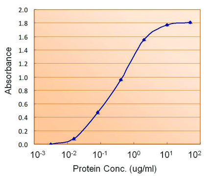 Anti-TTR antibody produced in goat affinity isolated antibody, buffered aqueous solution