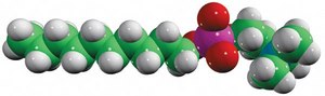 MAPCHO&#8482;-10 Avanti Research&#8482; - A Croda Brand 850334P, powder