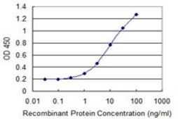 Monoclonal Anti-CHST5, (C-terminal) antibody produced in mouse clone 2E6, purified immunoglobulin, buffered aqueous solution