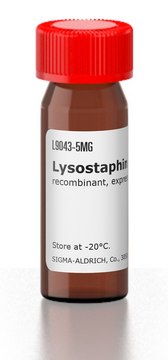 Lysostaphin from Staphylococcus simulans recombinant, expressed in E. coli, lyophilized powder