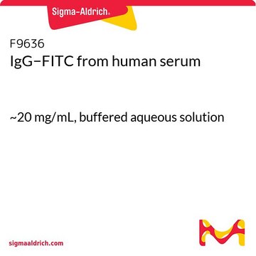 IgG&#8722;FITC from human serum ~20&#160;mg/mL, buffered aqueous solution