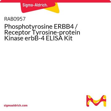 Phosphotyrosine ERBB4 / Receptor Tyrosine-protein Kinase erbB-4 ELISA Kit