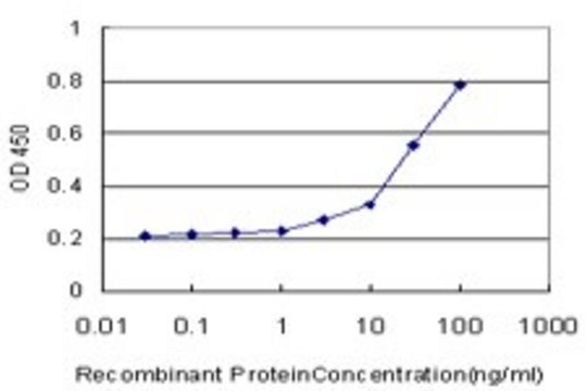 Monoclonal Anti-PHKG2 antibody produced in mouse clone 2B4, purified immunoglobulin, buffered aqueous solution