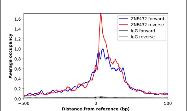 Anti-ZNF432 antibody produced in rabbit Prestige Antibodies&#174; Powered by Atlas Antibodies, affinity isolated antibody