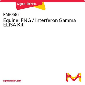 Equine IFNG / Interferon Gamma ELISA Kit