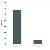 Anti-phospho-eEF2K (pSer366) antibody produced in rabbit affinity isolated antibody