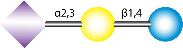 3′-Sialyllactose from bovine milk or colostrum, ≥97% (HPLC)