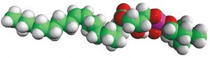 18:1 Lyso PC 1-oleoyl-2-hydroxy-sn-glycero-3-phosphocholine, chloroform