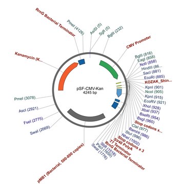 PSF-CMV-KAN - KANAMYCIN RESISTANCE PLASMID plasmid vector for molecular cloning