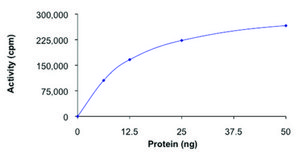 MEKK1 (664-1512), active, GST tagged human PRECISIO&#174; Kinase, recombinant, expressed in baculovirus infected Sf9 cells, &#8805;70% (SDS-PAGE), buffered aqueous glycerol solution