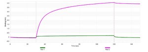 Anti-H-Ras Antibody, clone 3B13 ZooMAb&#174; Rabbit Monoclonal recombinant, expressed in HEK 293 cells