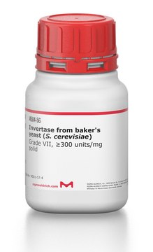 Invertase from baker’s yeast (S.&#160;cerevisiae) Grade VII, &#8805;300&#160;units/mg solid
