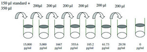 Human Tie-2 ELISA Kit for serum, plasma, cell culture supernatants and urine