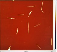 Silver nanowires diam. × L 200 &#160;nm × 10&#160;&#956;m, 0.5% (isopropyl alcohol suspension)