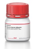 Bovine Serum Albumin heat shock fraction, protease free, essentially globulin free, pH 7, &#8805;98%
