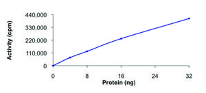 PKC &#949; , active, GST tagged human PRECISIO&#174; Kinase, recombinant, expressed in baculovirus infected Sf9 cells, &#8805;70% (SDS-PAGE), buffered aqueous glycerol solution