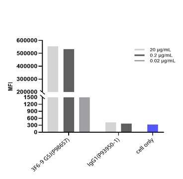 Anti-AA2AR / Adenosine A2aR Reference Antibody