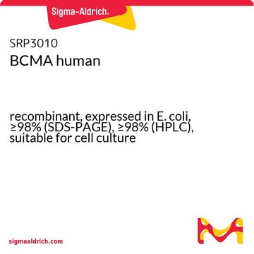 BCMA human recombinant, expressed in E. coli, &#8805;98% (SDS-PAGE), &#8805;98% (HPLC), suitable for cell culture