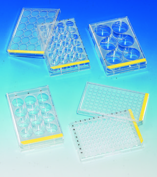 TPP&#174; tissue culture plates 6 well plate, flat bottom, polystyrene, 8.96 cm2, sterile, 64/cs