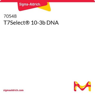 T7Select&#174; 10-3b DNA