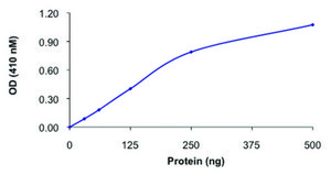 PTPN1, active, GST tagged human recombinant, expressed in baculovirus infected Sf9 cells, &#8805;70% (SDS-PAGE), buffered aqueous glycerol solution