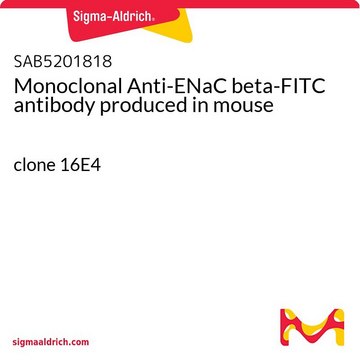 Monoclonal Anti-ENaC beta-FITC antibody produced in mouse clone 16E4