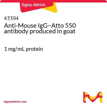 Anti-Mouse IgG&#8722;Atto 550 antibody produced in goat 1&#160;mg/mL protein