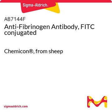 Anti-Fibrinogen Antibody, FITC conjugated Chemicon&#174;, from sheep