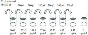 Mouse TIMP-1 ELISA Kit for serum, plasma and cell culture supernatant