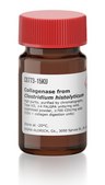 Collagenase from Clostridium histolyticum high purity, purified by chromatography, Type VII, &#8805;4&#160;FALGPA units/mg solid, lyophilized powder, &#8805;700&#160;CDU/mg solid (CDU = collagen digestion units)