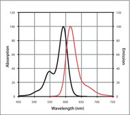 Anti-Mouse IgG (H+L), CF&#8482; 594 antibody produced in goat ~2&#160;mg/mL, affinity isolated antibody