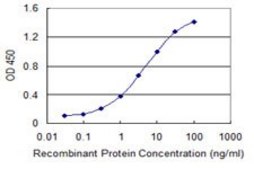 Monoclonal Anti-SSTR1, (N-terminal) antibody produced in mouse clone 1F7, purified immunoglobulin, buffered aqueous solution