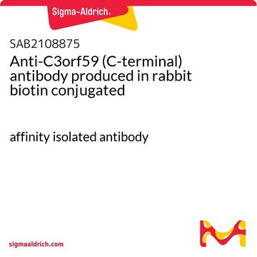 Anti-C3orf59 (C-terminal) antibody produced in rabbit biotin conjugated affinity isolated antibody