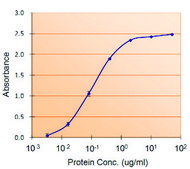 Anti-PAI1/SERPINE1 antibody produced in goat affinity isolated antibody, buffered aqueous solution