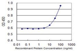Monoclonal Anti-CEACAM1 antibody produced in mouse clone 2F6, purified immunoglobulin, buffered aqueous solution