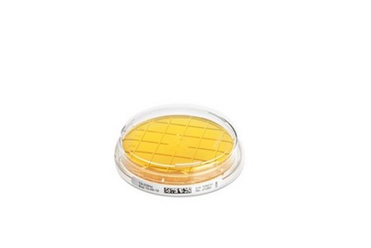 Tryptic Soy Agar - Ready-to-use Contact Plates Histidine, Tween&#174;, Lecithin, Contact Plate for Room temperature with non-lockable lid, plate diam. 55&#160;mm, single packed of 10&#160;plates, suitable for surface monitoring