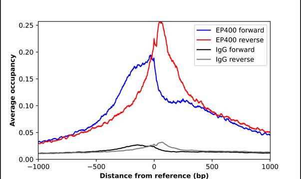 Anti-EP400 antibody produced in rabbit Prestige Antibodies&#174; Powered by Atlas Antibodies, affinity isolated antibody